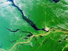 бразильские власти объявили амазонку зоной бедствия