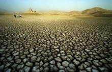 на юге индии от жары и засухи погибло более 1000 человек