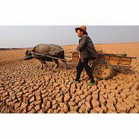 засуха в китае признана самой сильной за 100 лет