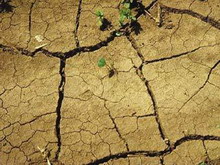 ес даст молдавии 40 миллионов евро на борьбу с засухой