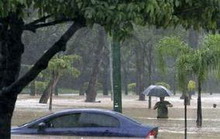 жертвами наводнений в бразилии стали 95 человек