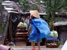тайфун  лекима  оставил без крова десятки тысяч человек